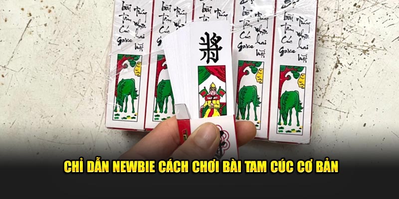 Chỉ dẫn newbie cách chơi bài tam cúc cơ bản