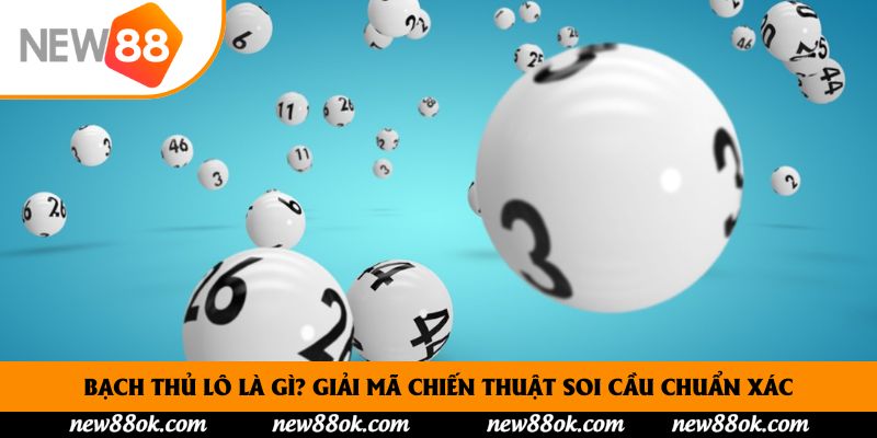 Bạch Thủ Lô Là Gì? Giải Mã Chiến Thuật Soi Cầu Chuẩn Xác